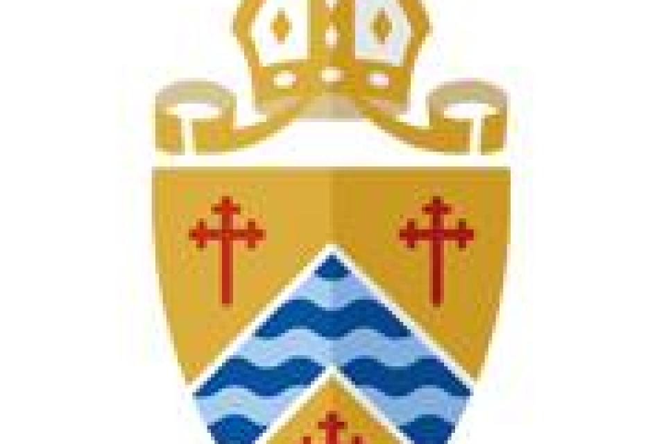 Diocesan Shield