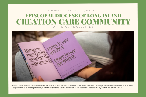 Creation Care Newsletter - Feb 2026